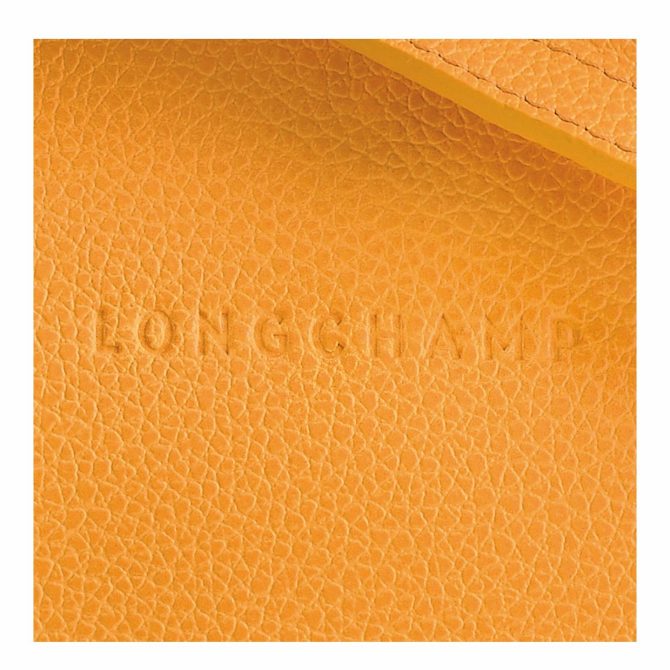 Women Crossbody Bags | Longchamp Le Foulonné S Crossbody Bag Apricot