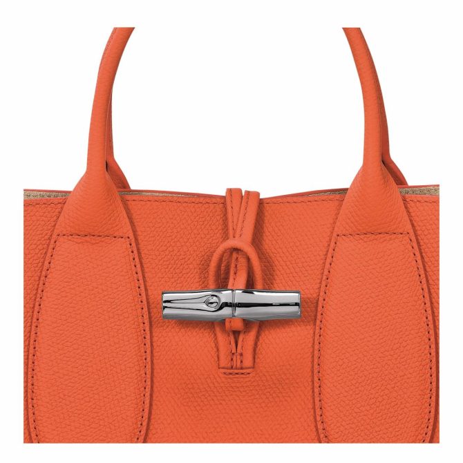 Women Handbags | Longchamp Le Roseau M Handbag Orange