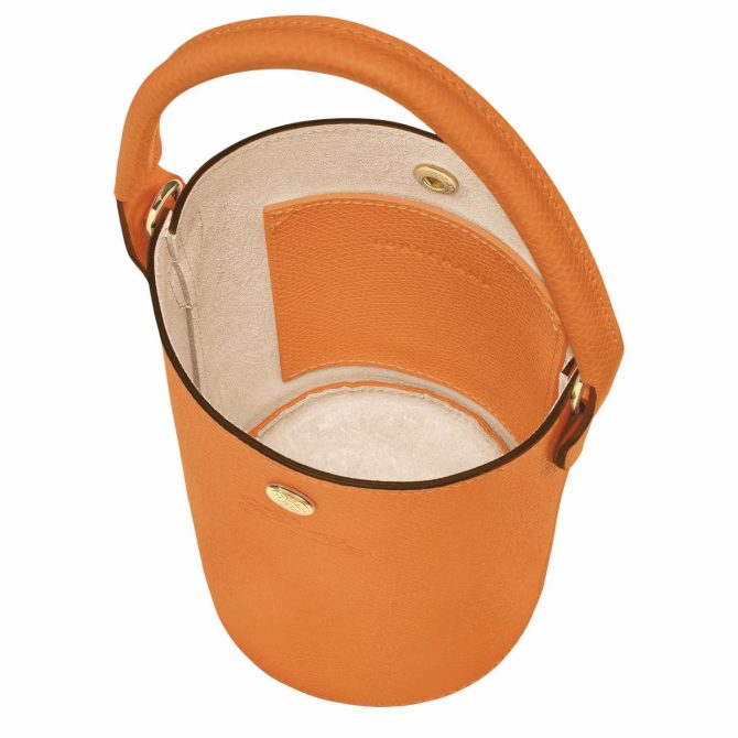 Women Crossbody Bags | Longchamp Épure XS Crossbody Bag Apricot