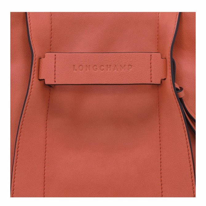 Women Crossbody Bags | Longchamp Longchamp 3D S Crossbody Bag Sienna