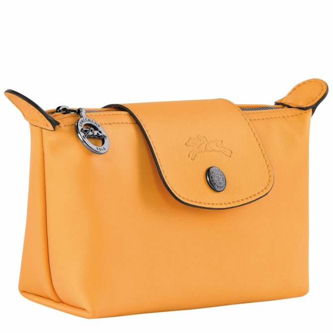 Women/Men Pouches & Cases | Longchamp Le Pliage Xtra Pouch Apricot